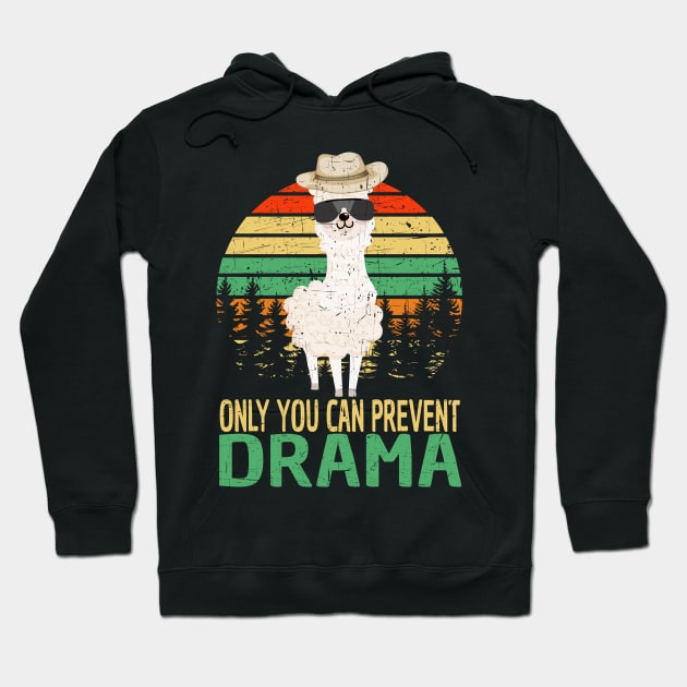 Only You Can Prevent Drama Hoodie by jodesigners